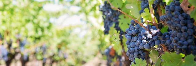 轰炸别人手机号码软件